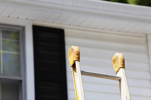 Best Custom Trim and Detailing for Siding  in Manning, IA