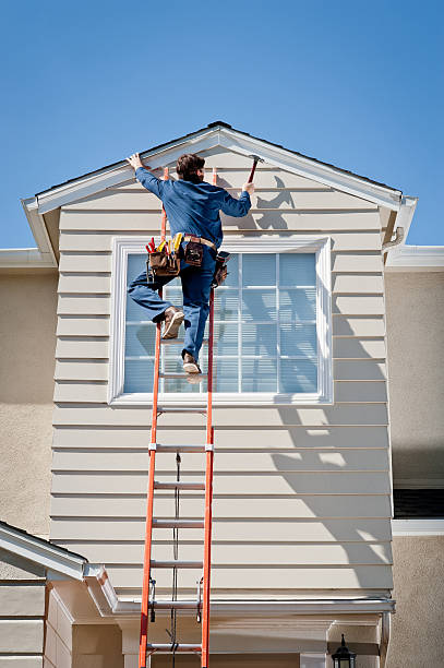 Best Siding Painting and Refinishing  in Manning, IA